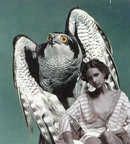 Bird of Prey, collage by Parker